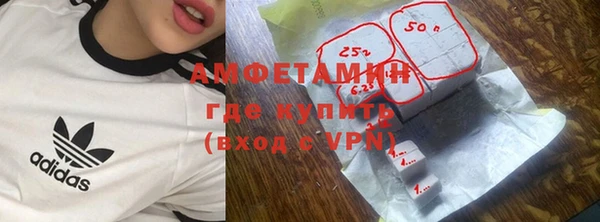 ПСИЛОЦИБИНОВЫЕ ГРИБЫ Гусев