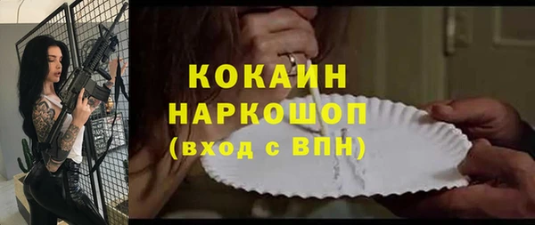 ПСИЛОЦИБИНОВЫЕ ГРИБЫ Гусев