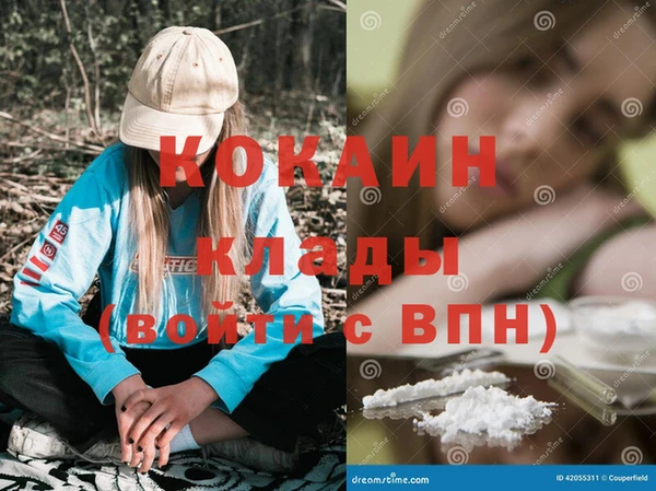 ПСИЛОЦИБИНОВЫЕ ГРИБЫ Гусев