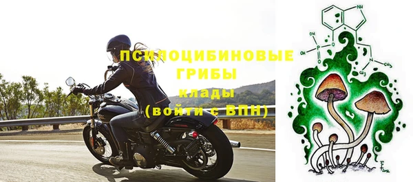 героин Михайлов